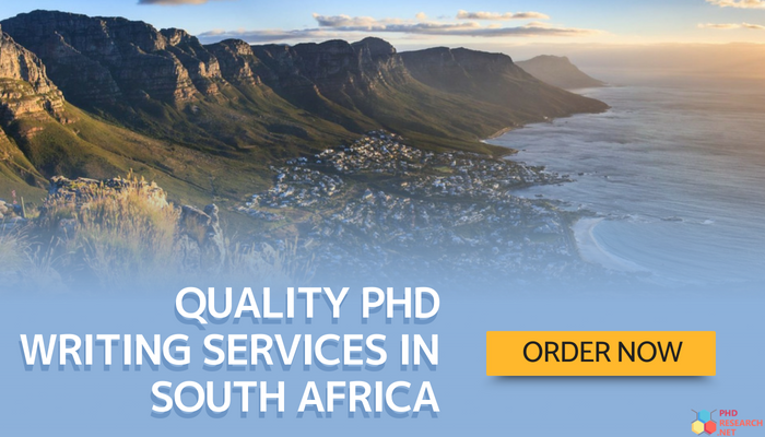 online phd degree south africa